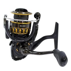 2017Daiwa BG Carretes Spinning - Black Oro, BG4000