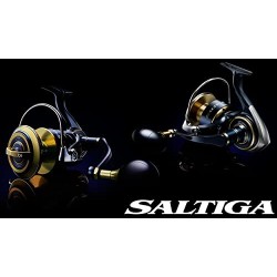 Daiwa Moulinet Spinning Saltiga 2020-665g - R.6.2-134cm - Dg.25Kg - Sg2014000Xh