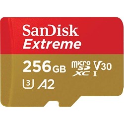 SanDisk 256 GB MicroSDXC Extreme 190MB/130MB Card Only - Extended Capacity SD  MicroSDHC 